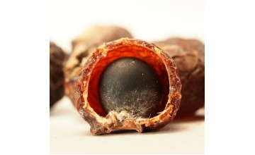 無患子 能夠做什麼東西？