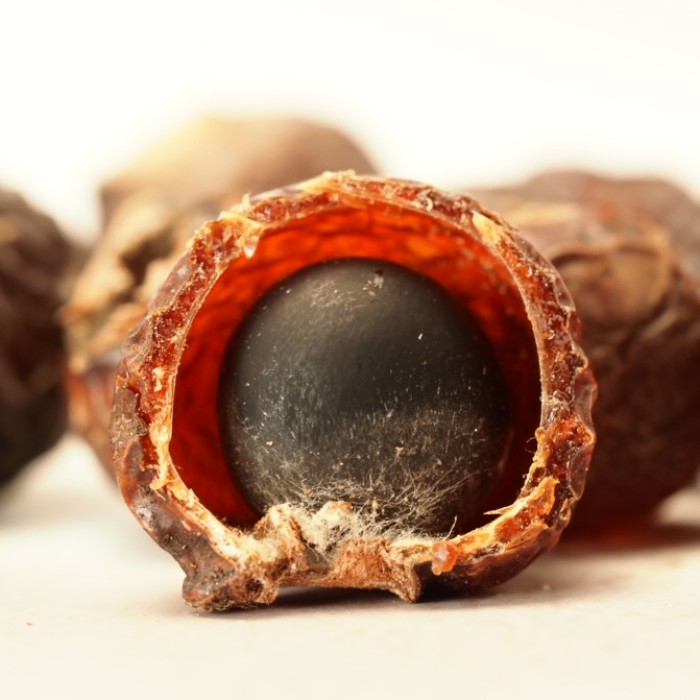 無患子 能夠做什麼東西？